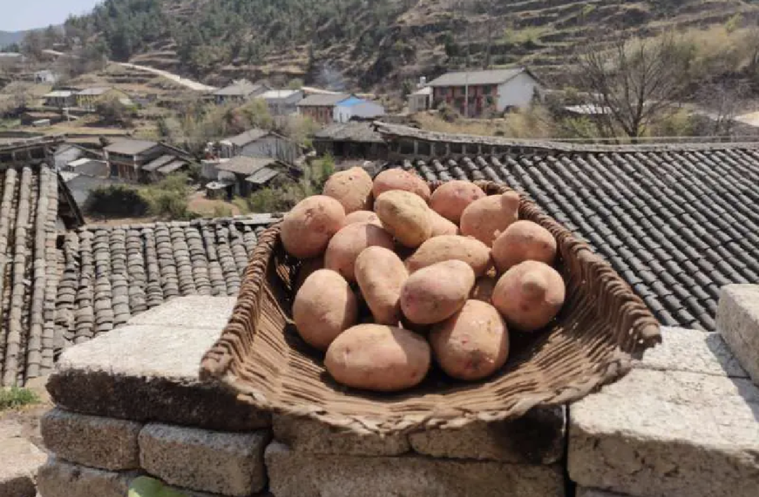 1671087854636412.png 640.png